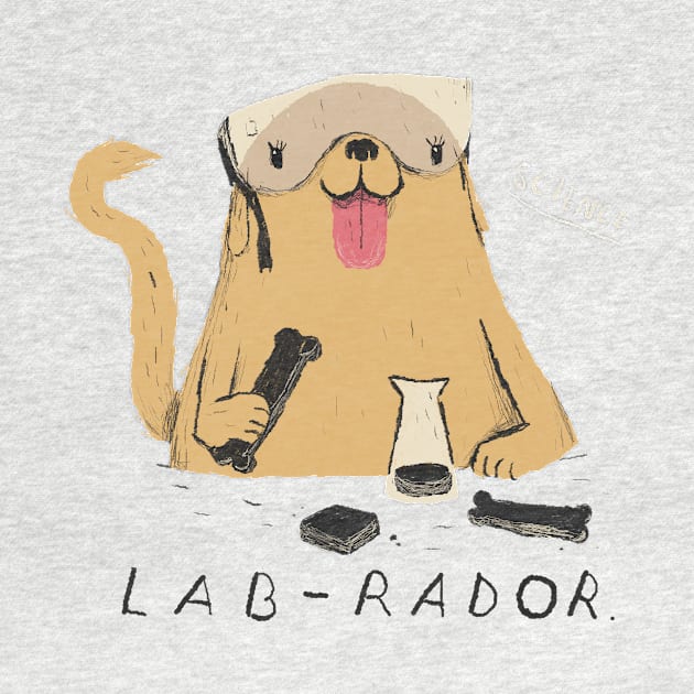 Labrador by Louisros